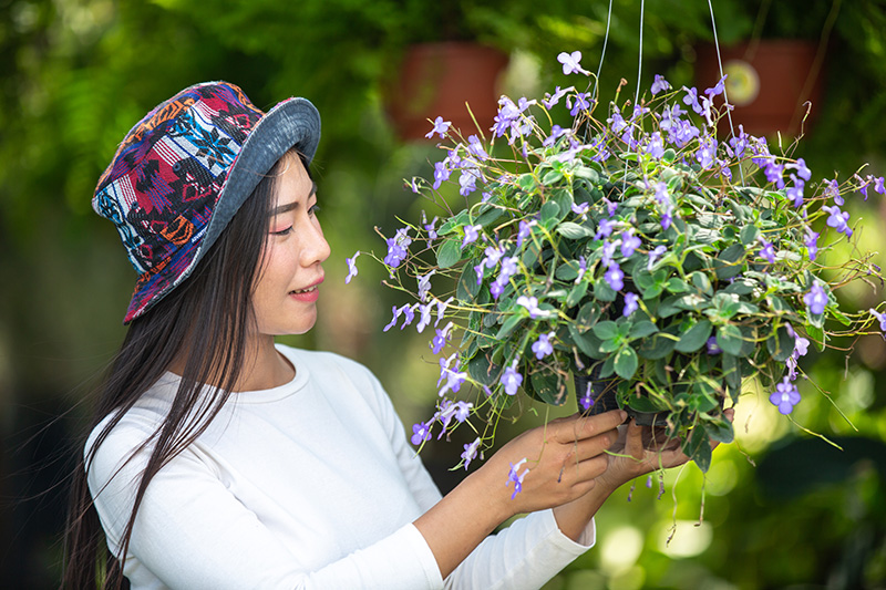 (800)girl is admiring flowers garden