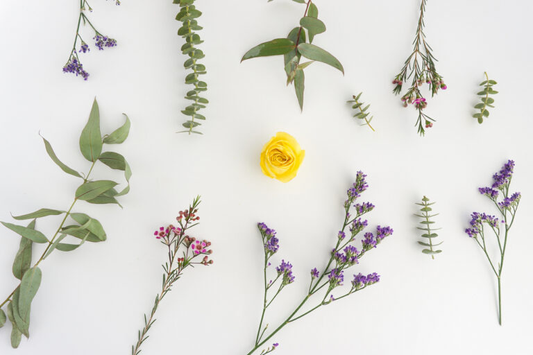 floral composition with yellow flower