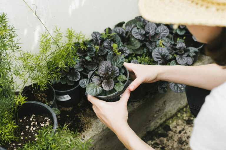 high angle woman holding plant